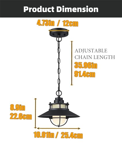 Black LED Antique Outdoor Barn Lights With Cage