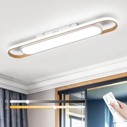 Modern LED Ceiling Light