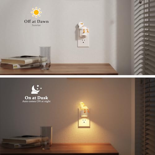 Night Lights Plug into Wall