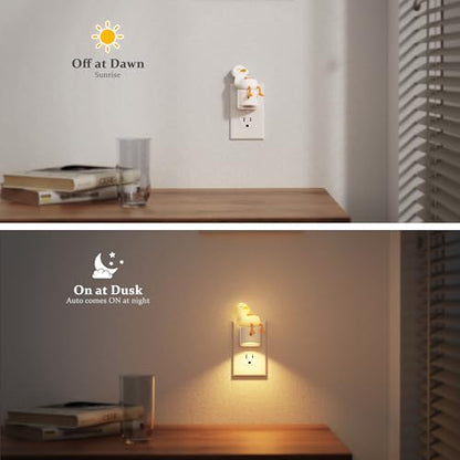 Night Lights Plug into Wall