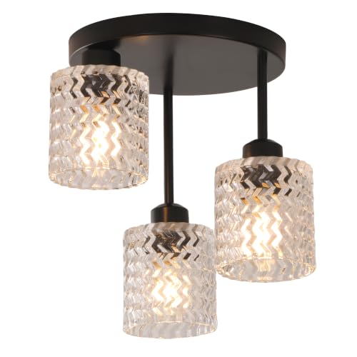 Semi Flush Mount Ceiling Light