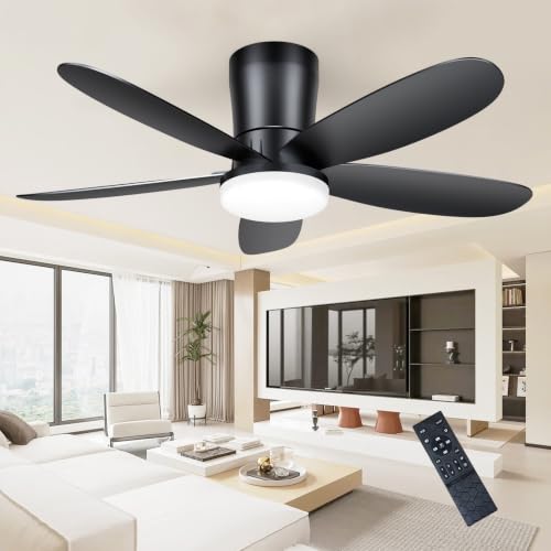 Ceiling Fans with Lights