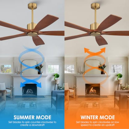 5 Blade Ceiling Fan No Lights