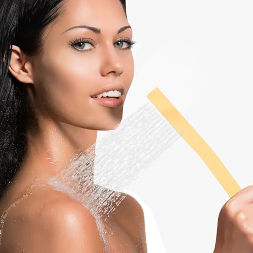 Handheld Shower Head