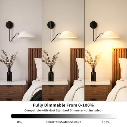 Wall Sconce
