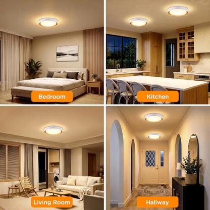 Flush Mount Ceiling Light (Matte White)