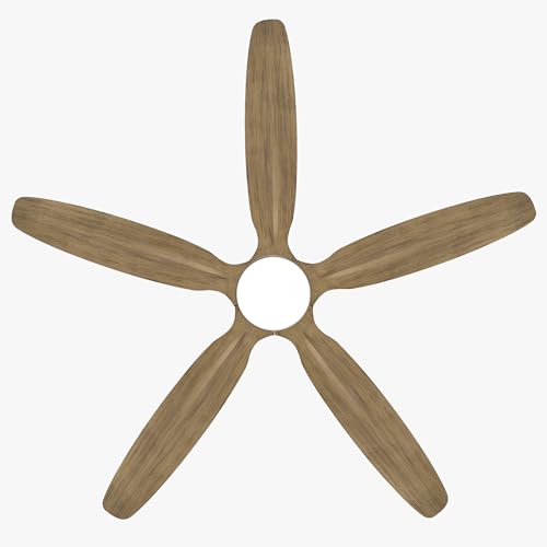 54" Flush Mount Ceiling Fan with Light