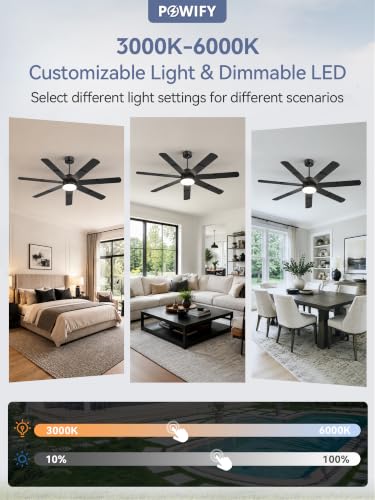 Ceiling Fans with Lights