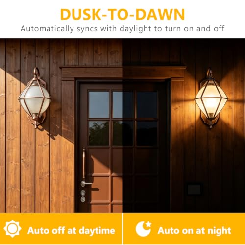 A19 Dusk to Dawn Light Bulbs