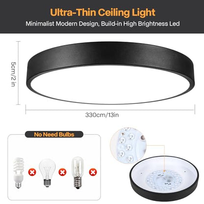 Matte Black Flush Mount Ceiling Light