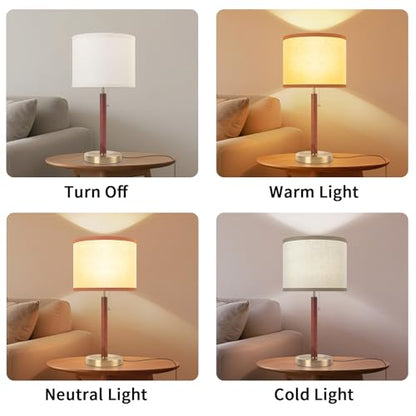 Vintage Desk Lamp for Living Room