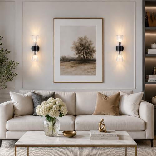 Black Glass Wall Sconce Light (Black Clear Glass)