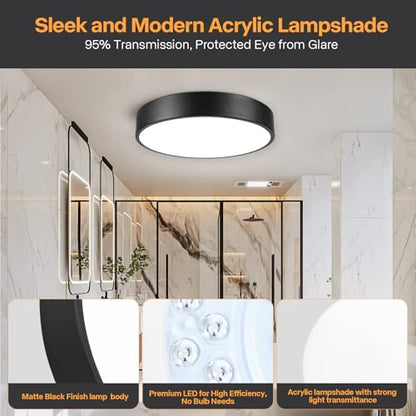 Matte Black Flush Mount Ceiling Light