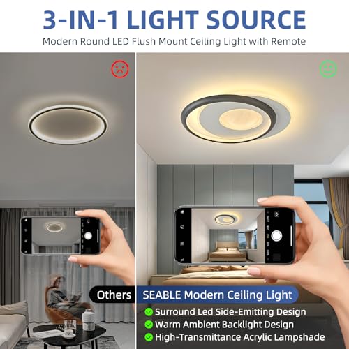 Modern LED Ceiling Light with Remote Control
