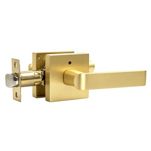 Interior Privacy Door Lever