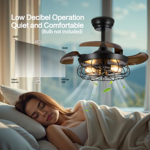 Caged Ceiling Fan