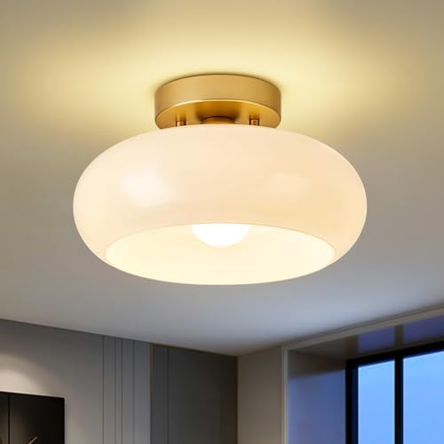Moredern Black Ceiling Light0 00001