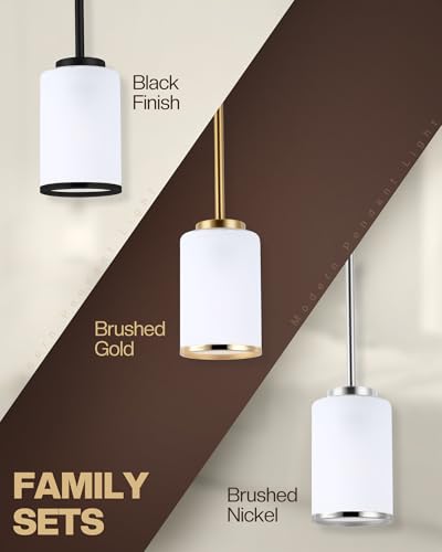 Indoor Pendant Light Fixtures
