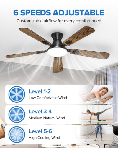 Ceiling Fans with Lights