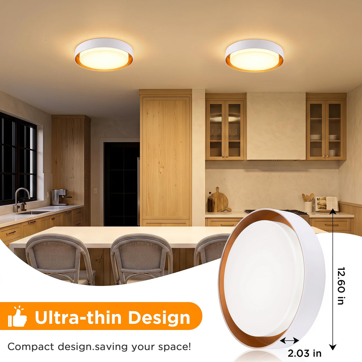 2 Pack Flush Mount Ceiling Light (Matte White)