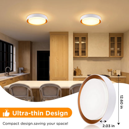 2 Pack Flush Mount Ceiling Light (Matte White)