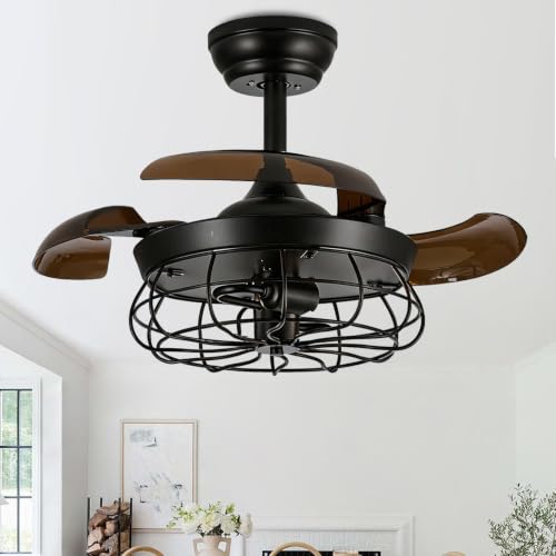 Caged Ceiling Fan