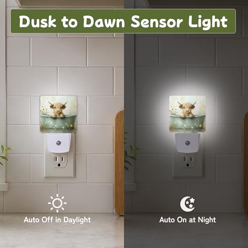 Night Light Night Lights Plug into Wall with Dusk to Dawn Sensor for Bedroom Bathroom Hallway Kitchen
