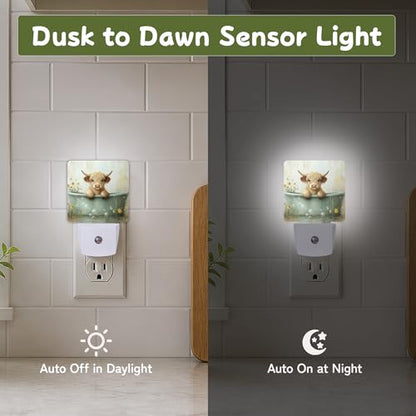 Night Light Night Lights Plug into Wall with Dusk to Dawn Sensor for Bedroom Bathroom Hallway Kitchen