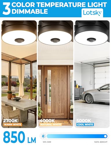 Outdoor Ceiling Fans
