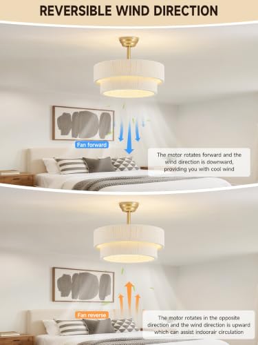 Ceiling Fans with Lights