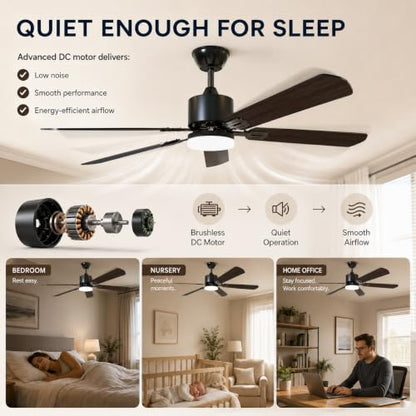 Ceiling Fans with Lights