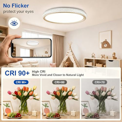 LED Flush Mount Ceiling Light