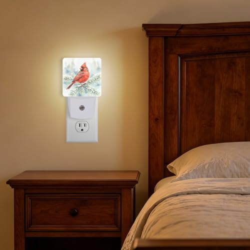 Night Lights Plug into Wall (Cardinal B)