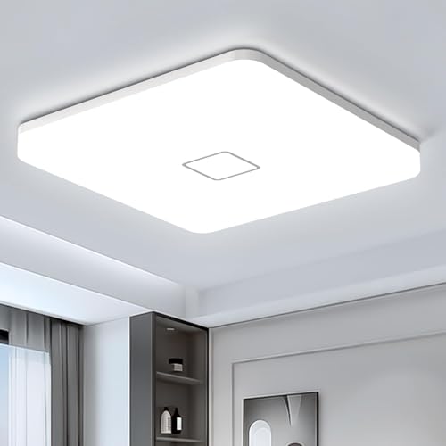 LED Ceiling Light