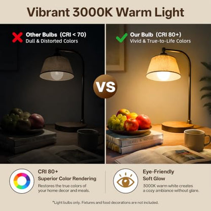 5V E26 LED Bulb