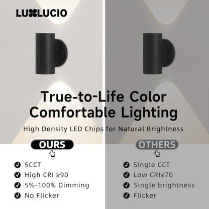 Indoor LED Wall Sconce Up and Down