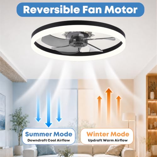 Ceiling Fan with Light and Remote