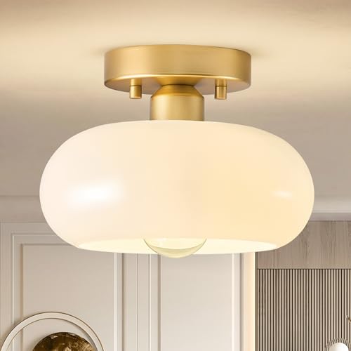Moredern Black Ceiling Light0 00001