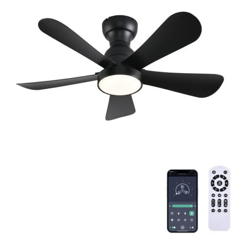 Ceiling Fans with Lights