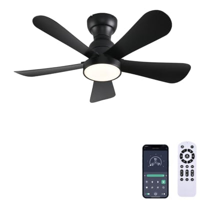 Ceiling Fans with Lights