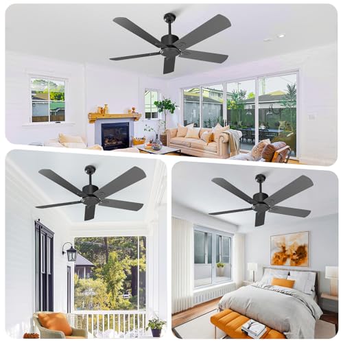 Black Ceiling Fan