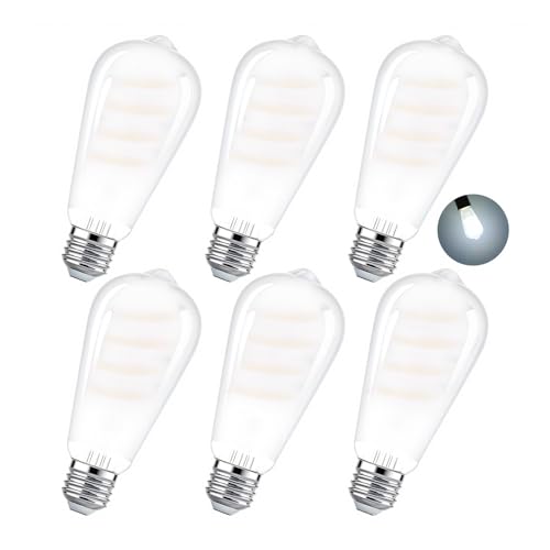 E26 Edison Bulbs