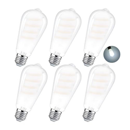 E26 Edison Bulbs