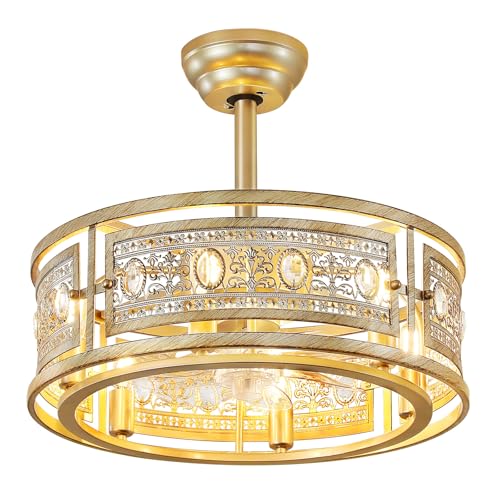 Caged Ceiling Fan with Light