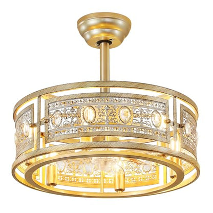 Caged Ceiling Fan with Light
