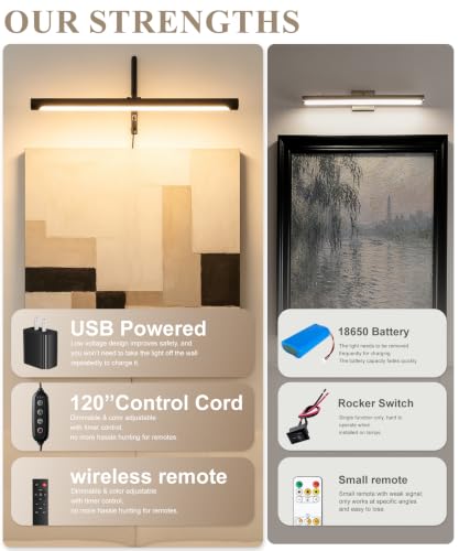 Plug in Picture Light for Wall