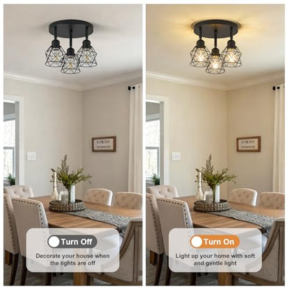 Kitchen Flush Mount Ceiling Light