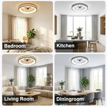 Ceiling Fans with Lights