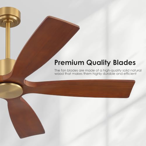 5 Blade Ceiling Fan No Lights