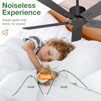 Black Ceiling Fan